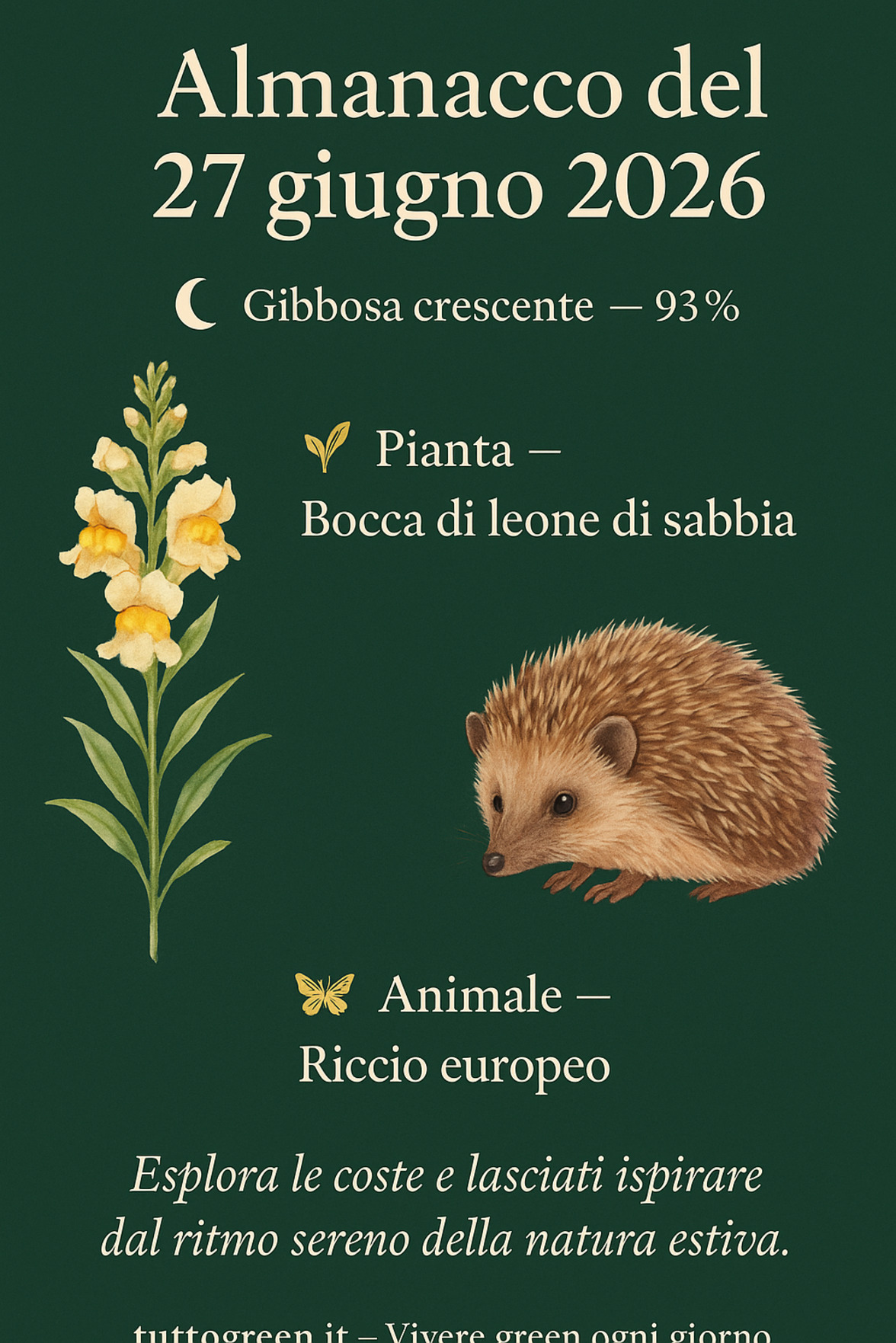 Infografica Almanacco del 27 giugno 2026 — Bocca di leone di sabbia e Riccio europeo