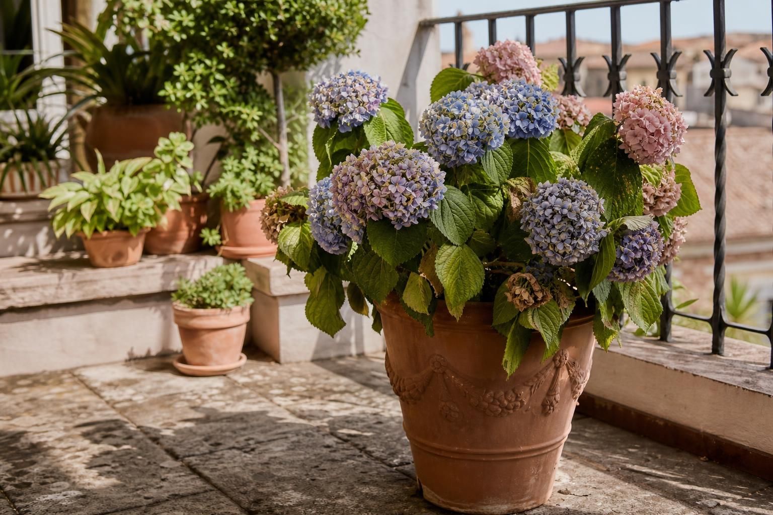 Ortensie con fiori flosci? Le cause più comuni e cosa fare subito