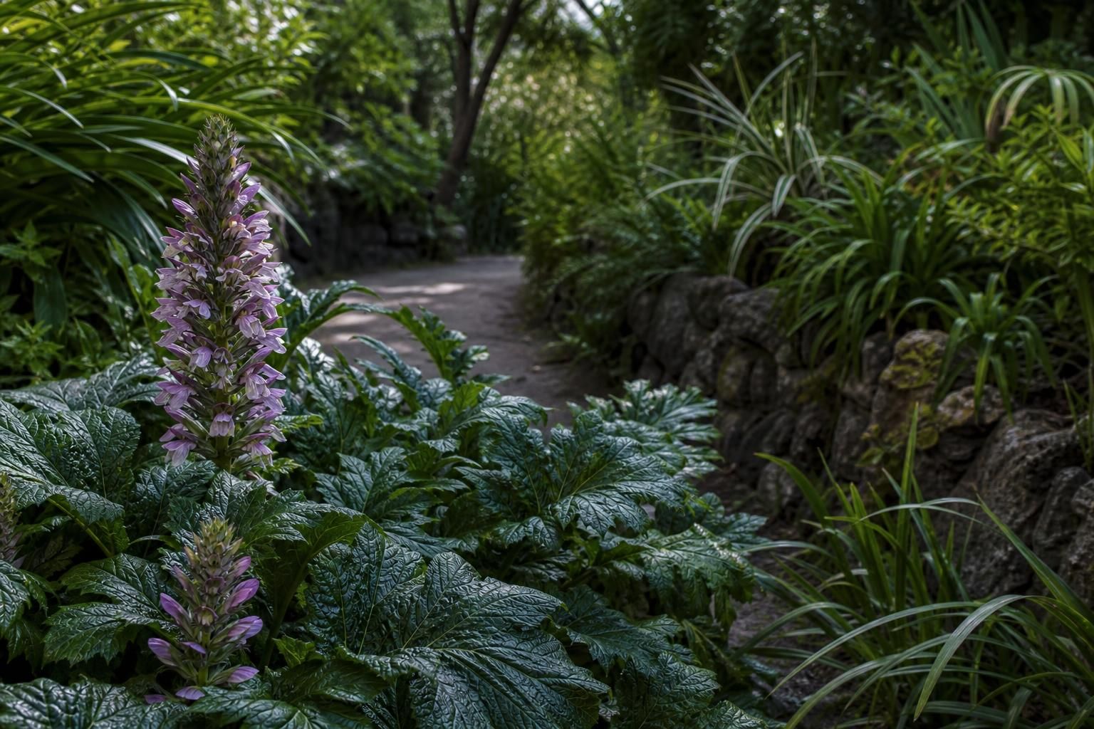 Ai piedi del Vesuvio c’è un parco botanico da vedere almeno una volta - dettaglio