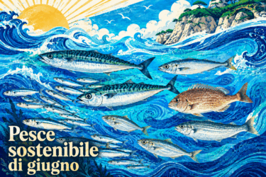 Pesce sostenibile di giugno: quali scegliere per mangiare bene e rispettare il mare