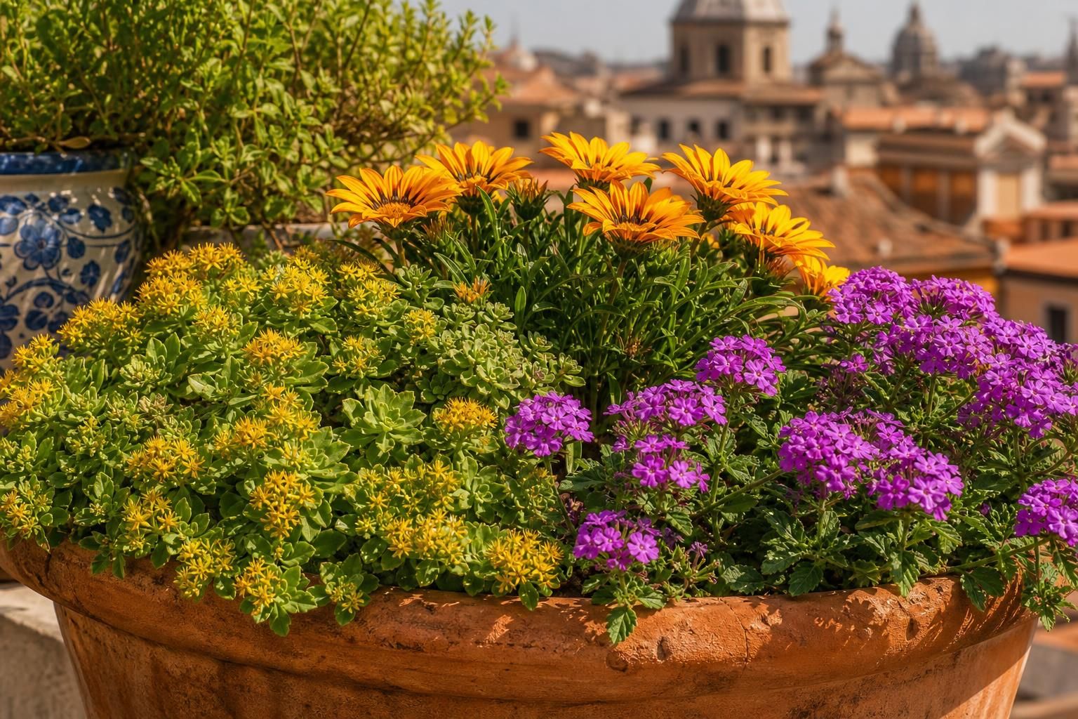 10 piante da balcone che resistono al caldo e chiedono poca acqua - dettaglio