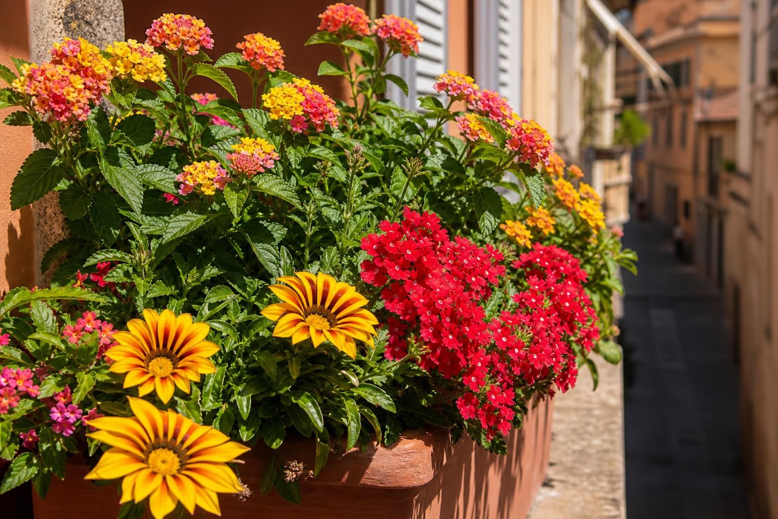 Balcone al sole tutto il giorno? 7 piante fiorite che reggono l’estate - dettaglio