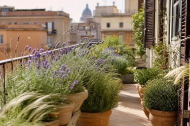Balcone ventoso? Le piante che restano belle anche con aria forte