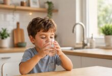 Il depuratore di acqua da rubinetto sicuro e semplice