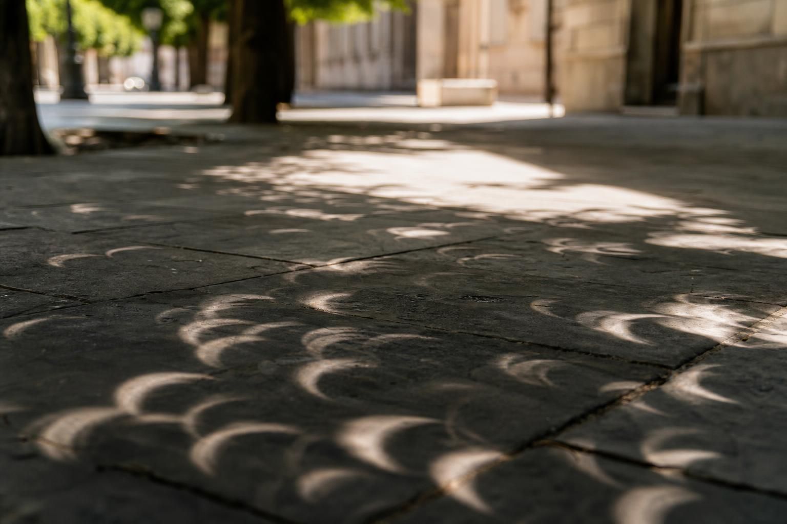 Eclissi di Sole del 12 agosto: cosa non fare per guardarla senza rischi - approfondimento