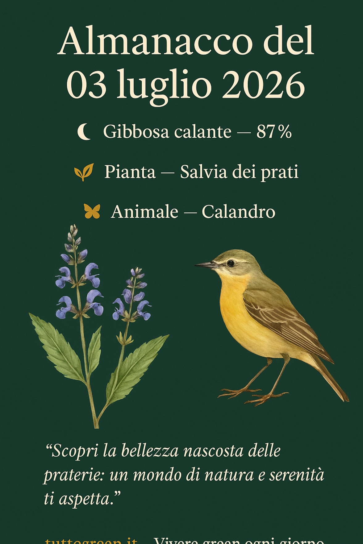 Infografica Almanacco del 03 luglio 2026 — Salvia dei prati e Calandro