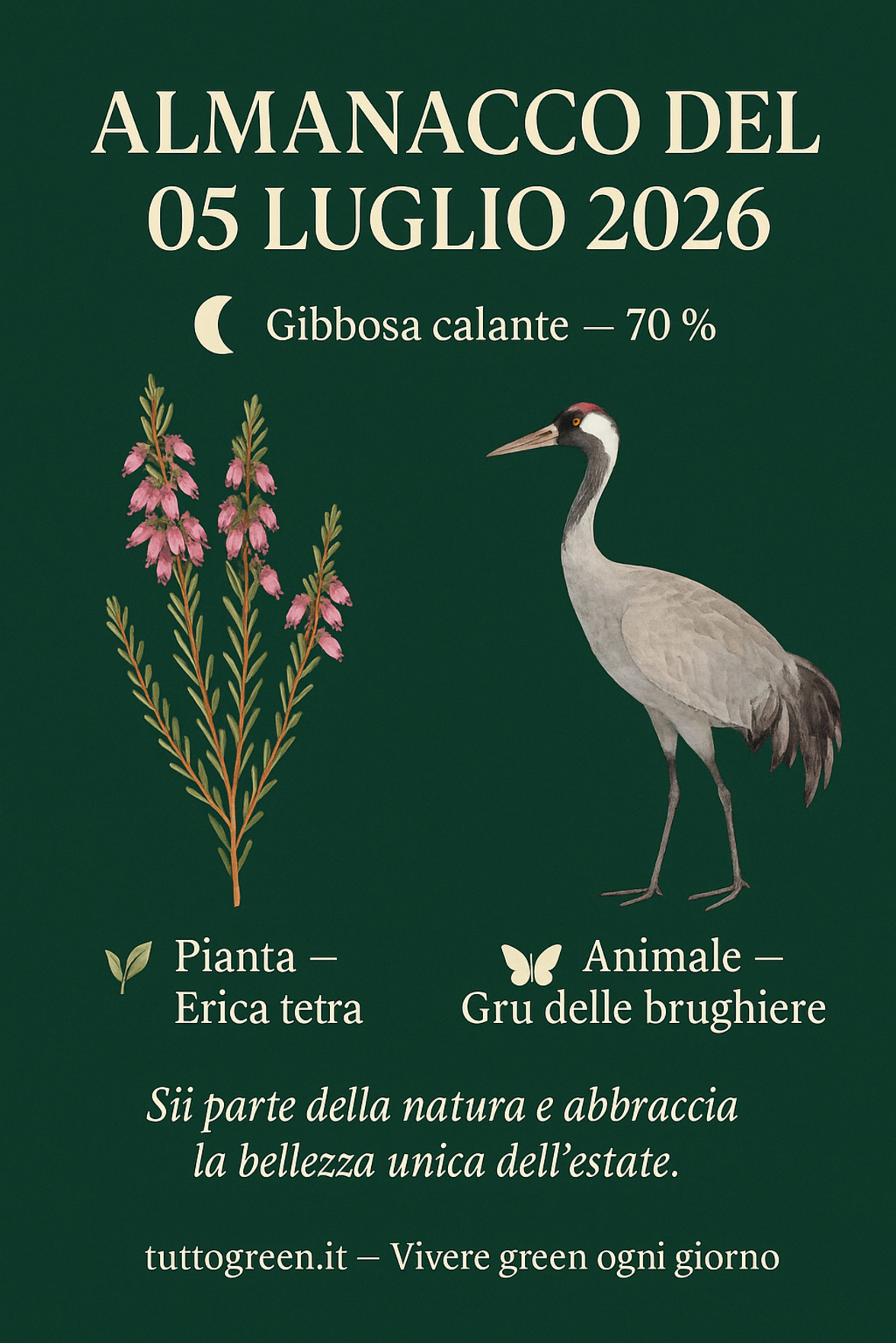 Infografica Almanacco del 05 luglio 2026 — Erica tetra e Gru delle brughiere