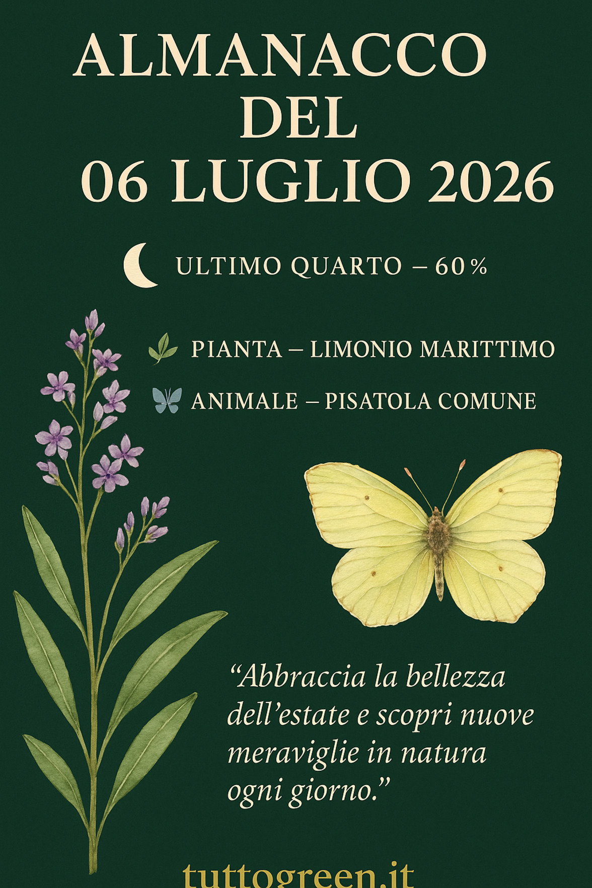 Infografica Almanacco del 06 luglio 2026 — Limonio marittimo e Pisatola comune