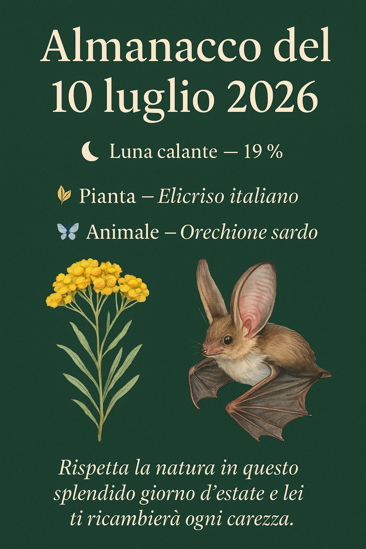 Infografica Almanacco del 10 luglio 2026 — Elicriso italiano e Orecchione sardo