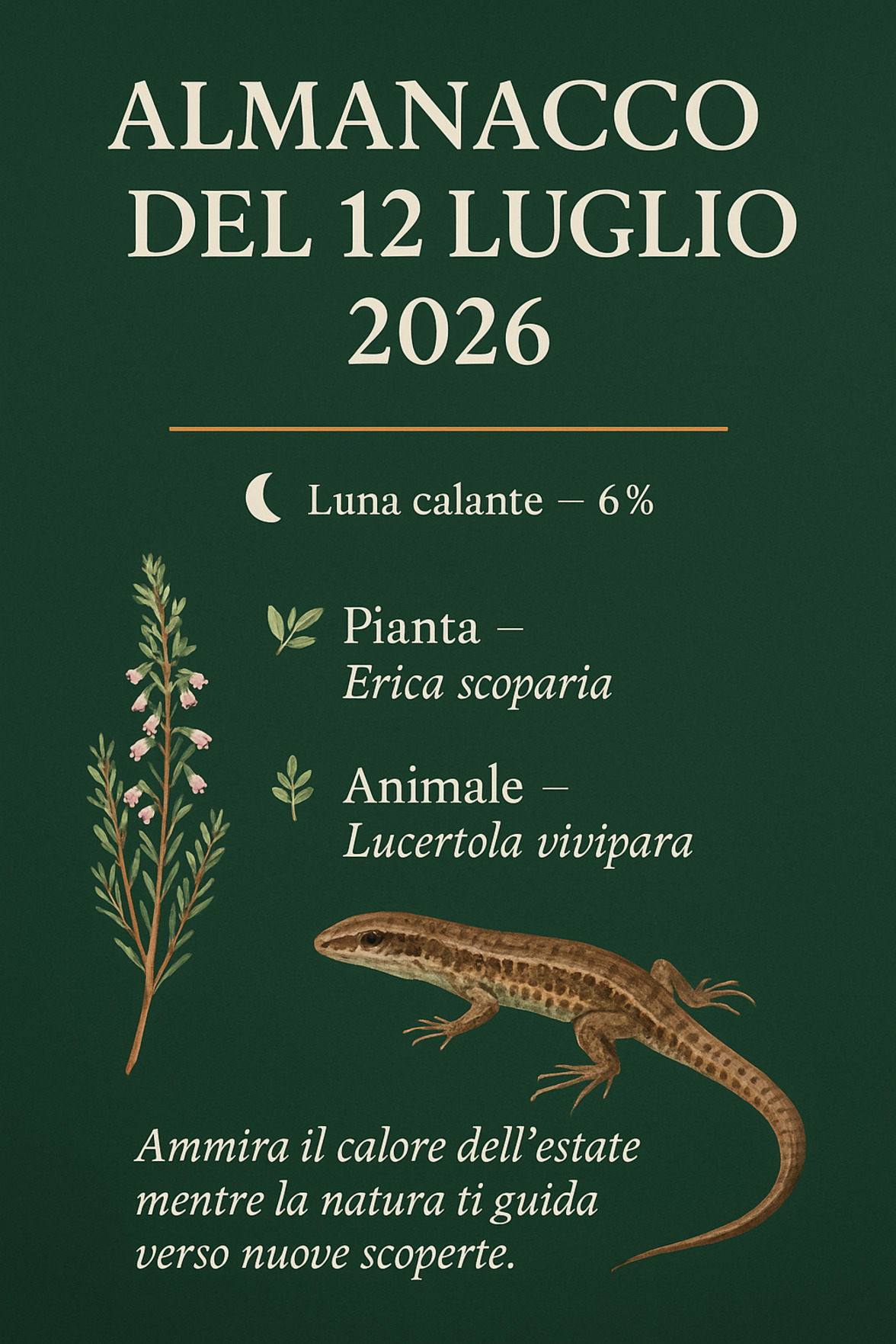 Infografica Almanacco del 12 luglio 2026 — Erica scoparia e Lucertola vivipara