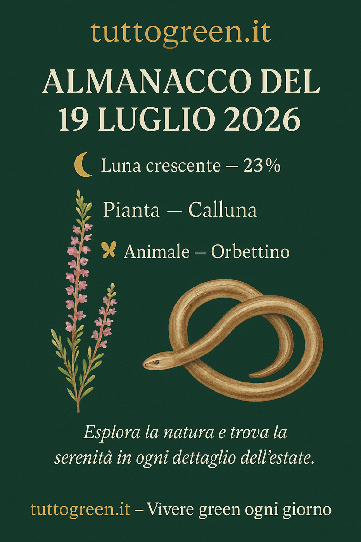 Infografica Almanacco del 19 luglio 2026 — Calluna e Orbettino