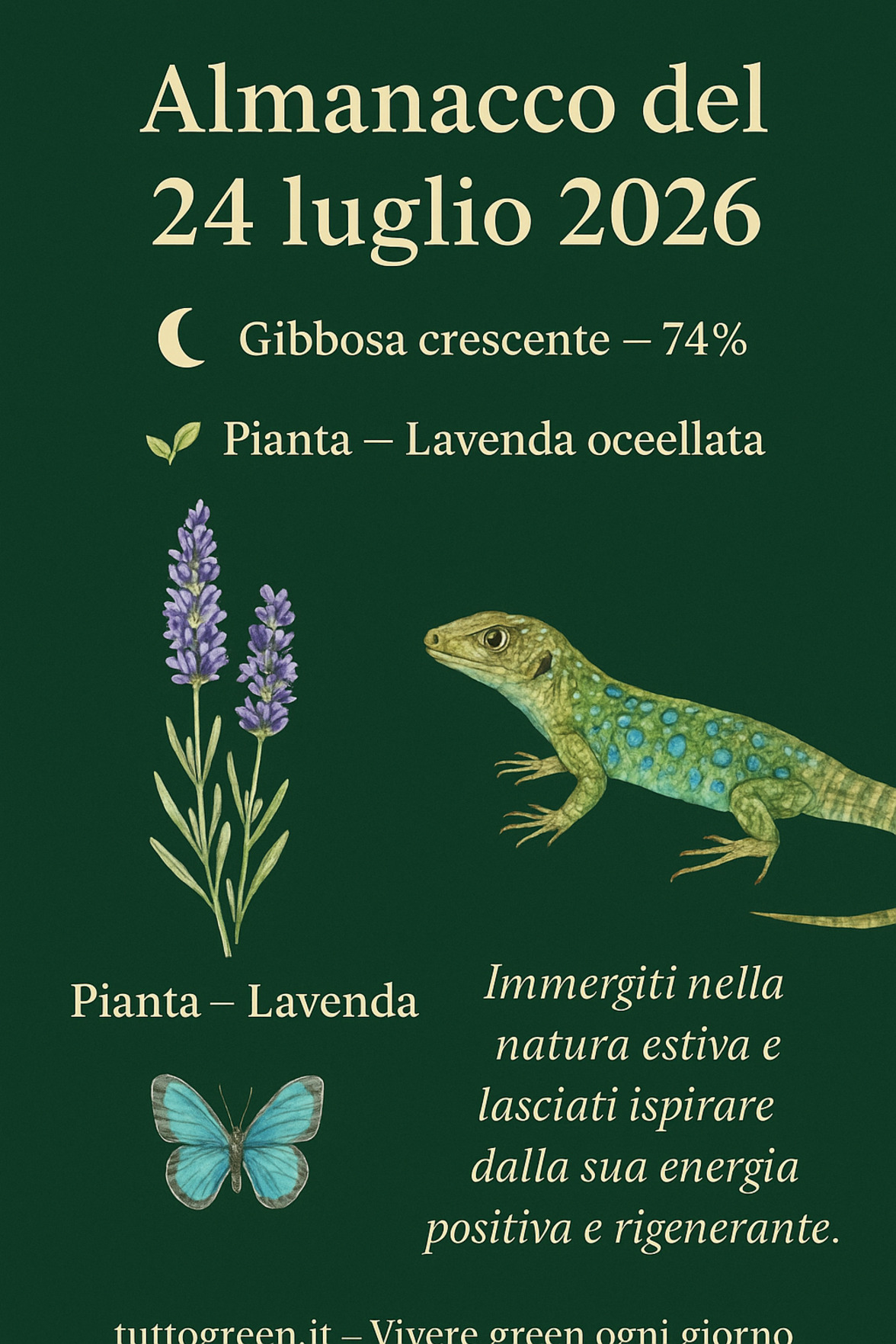 Infografica Almanacco del 24 luglio 2026 — Lavanda e Lucertola ocellata