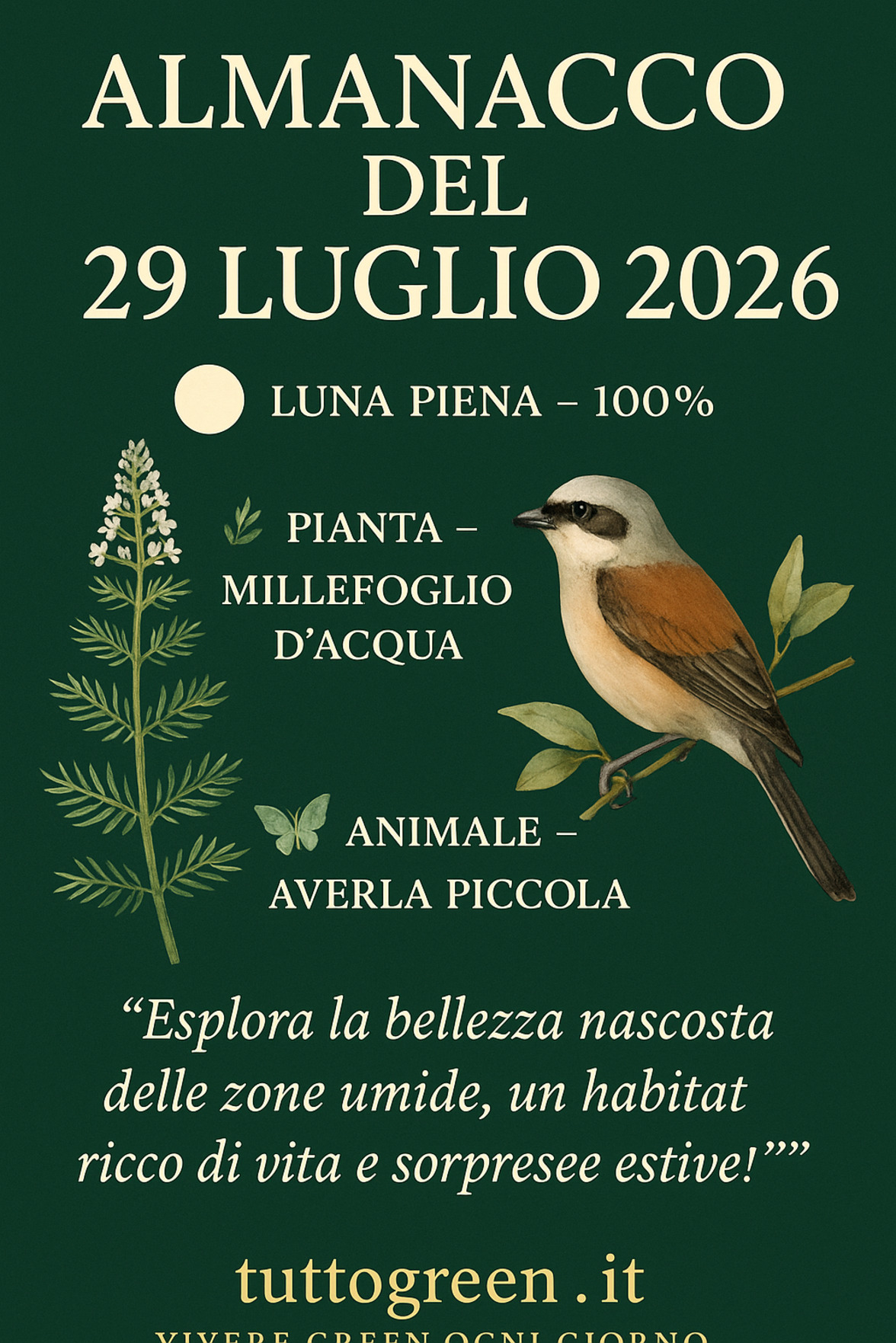 Infografica Almanacco del 29 luglio 2026 — Millefoglio d'acqua e Averla piccola