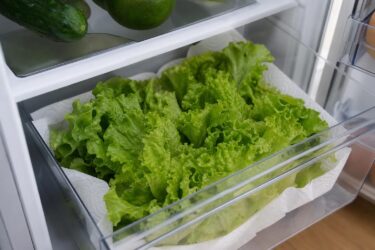 Lattuga fresca più a lungo in frigo: il trucco semplice della carta