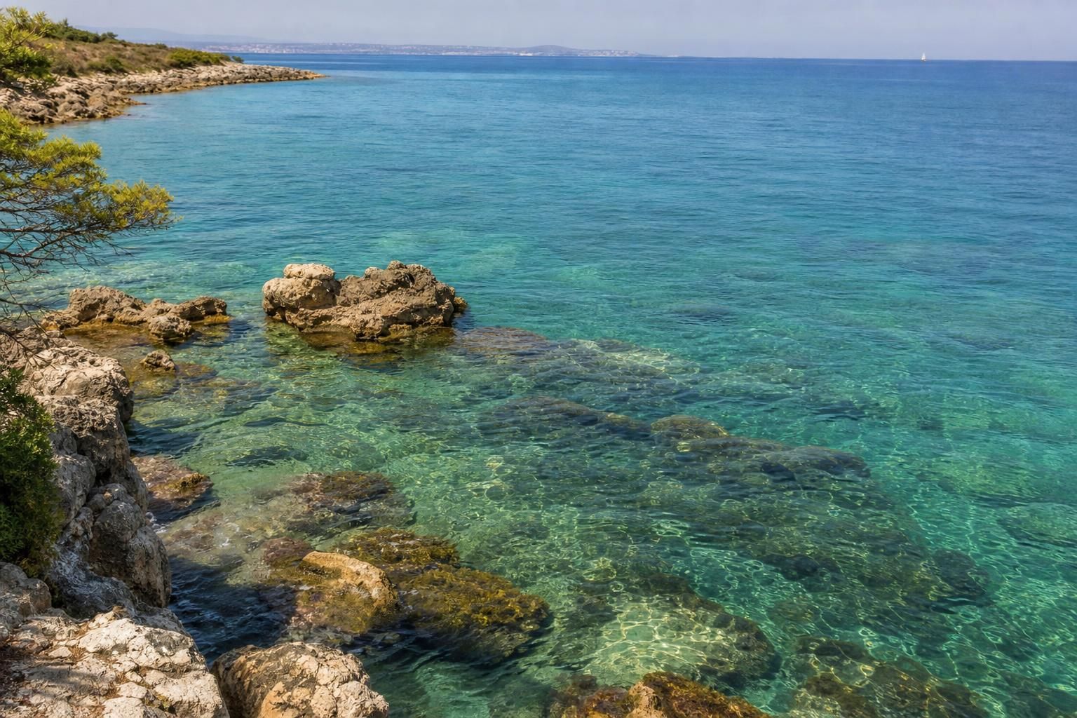 Il Mediterraneo si scalda e cambia volto: cosa sta succedendo al mare