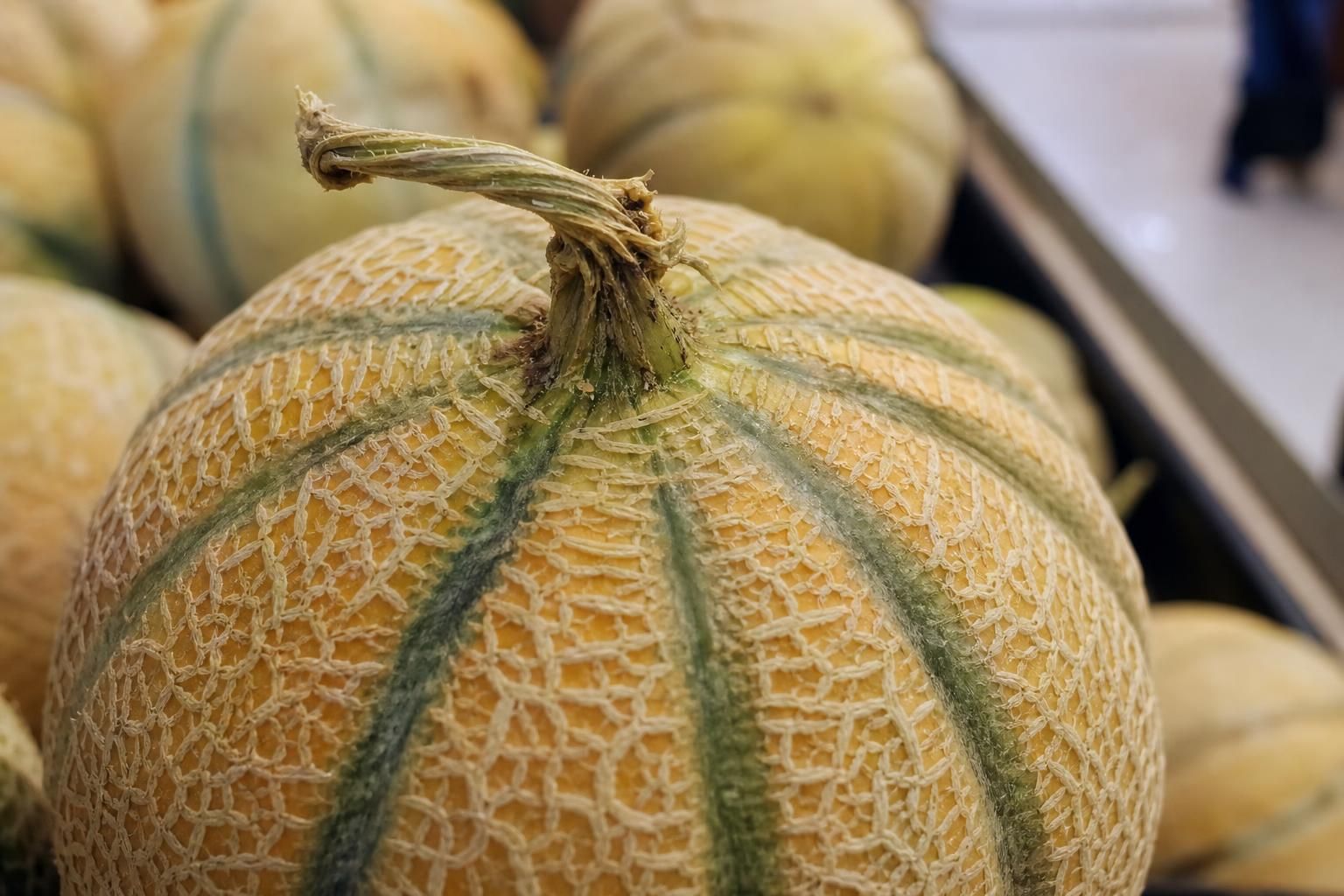 Melone dolce e maturo: i 3 segnali da controllare prima di comprarlo - dettaglio
