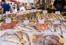 Banco del mercato con pesce sostenibile di agosto su letto di ghiaccio, tra sardine, alici, sgombro, sugarello, cefalo, gallinella, nasello, triglia, mormora, occhiata e totani