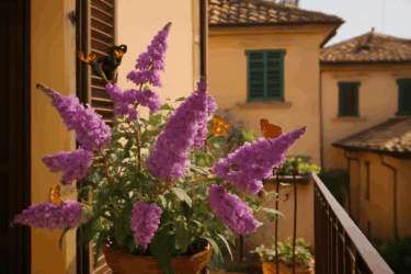 Trasforma il tuo balcone in un paradiso per farfalle in pochi mesi