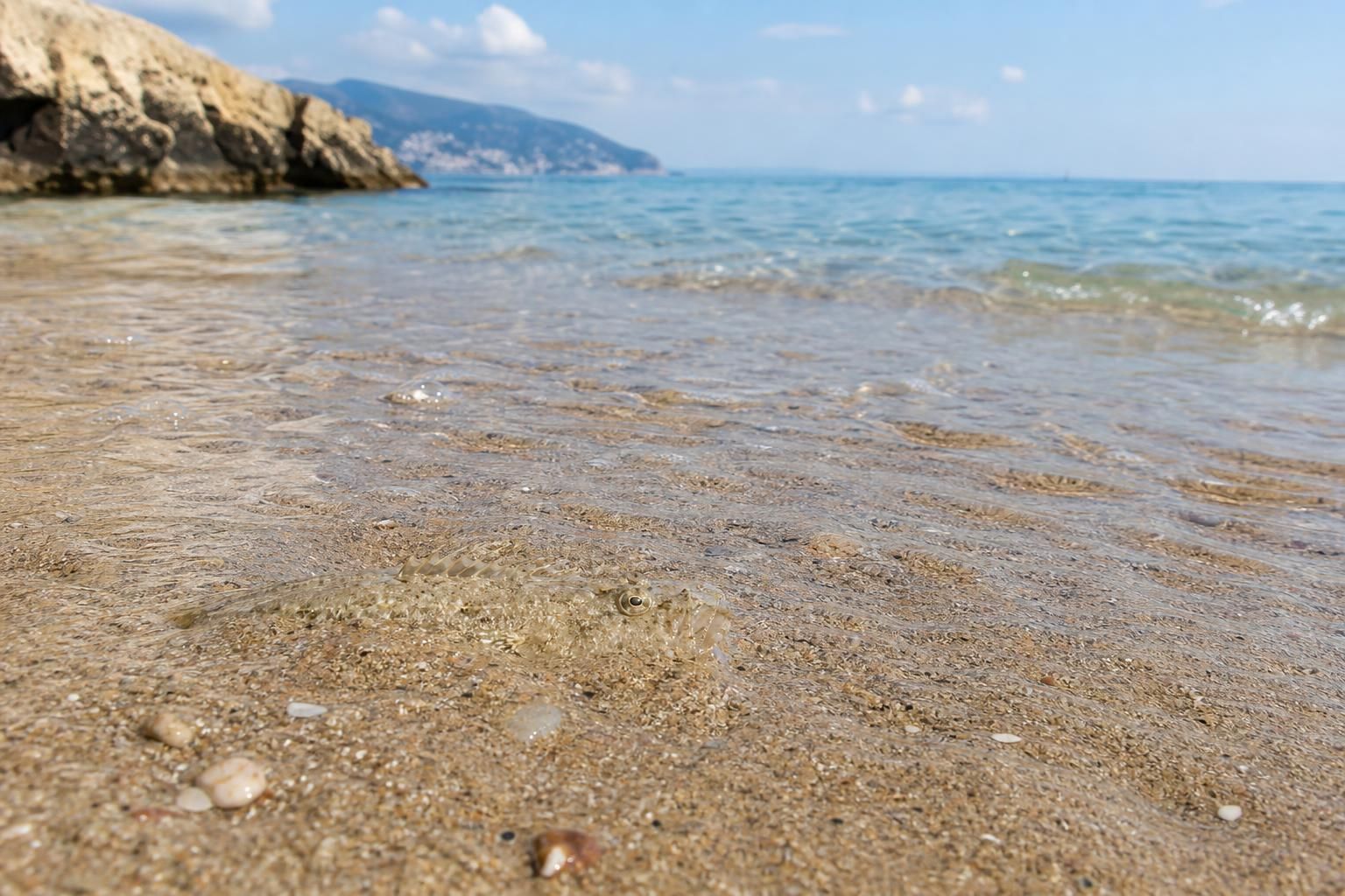 Puntura di tracina al mare: i gesti giusti per calmare il dolore
