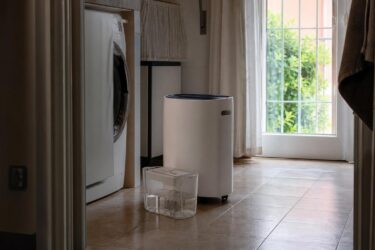 Non buttarla: 7 modi utili per riusare l’acqua del deumidificatore
