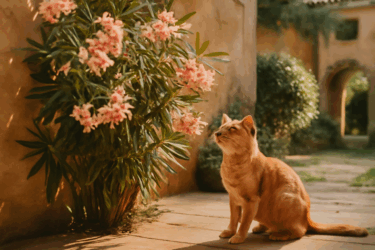 Agosto in giardino: le piante che minacciano cani e gatti