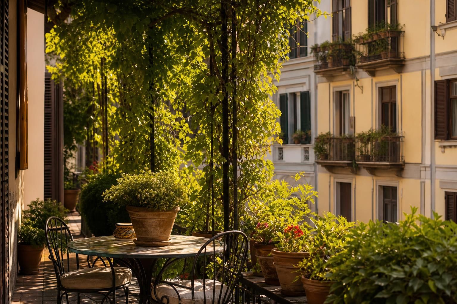 Balcone più fresco in estate: i rampicanti che fanno davvero ombra - approfondimento