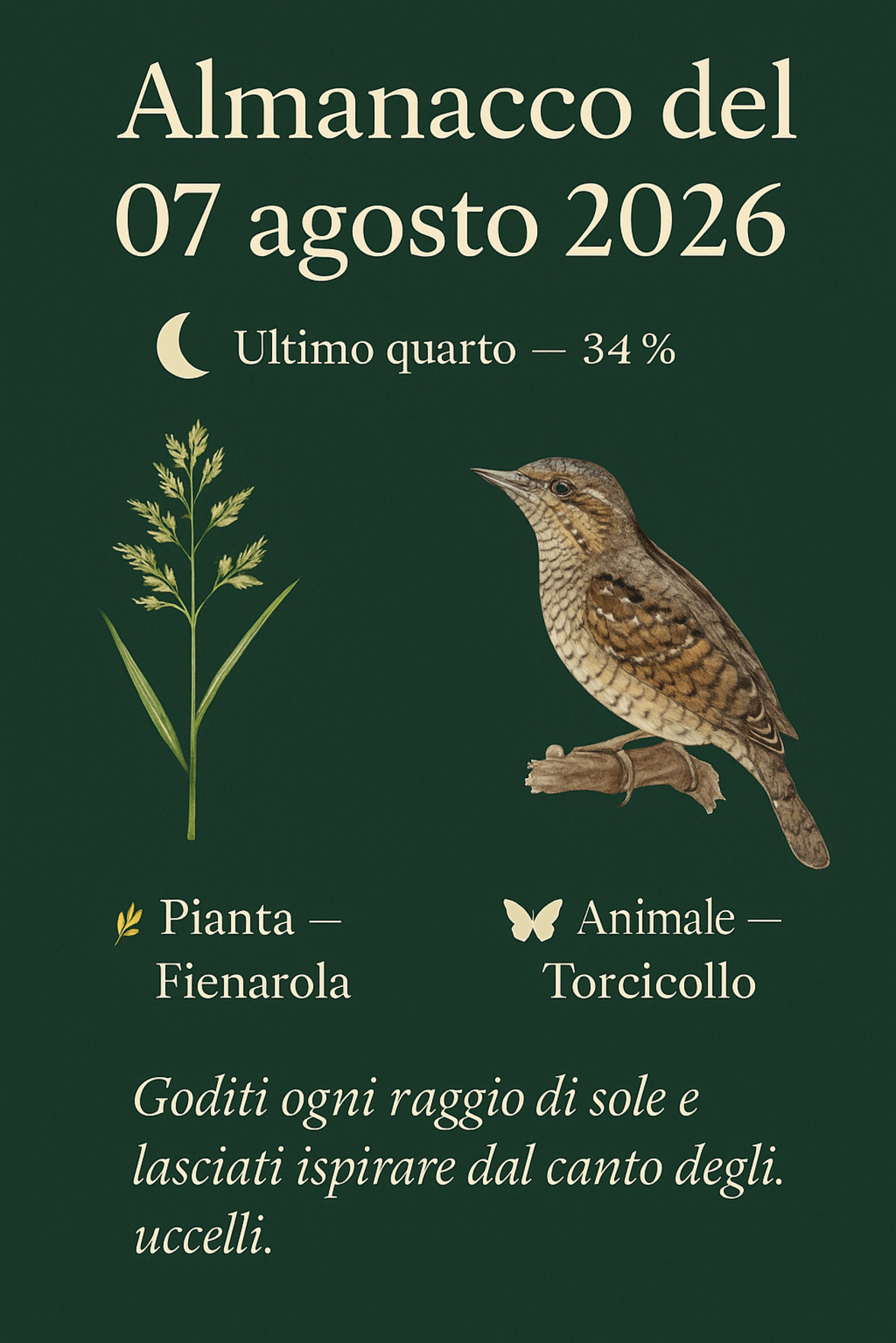 Infografica Almanacco del 07 agosto 2026 — Fienarola e Torcicollo