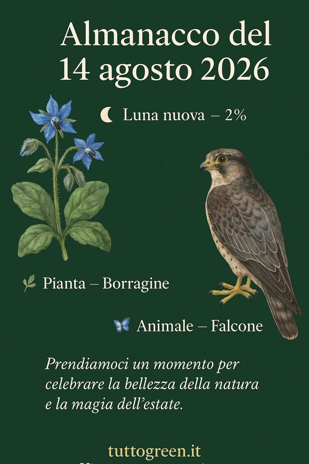Infografica Almanacco del 14 agosto 2026 — Borragine e Falcone