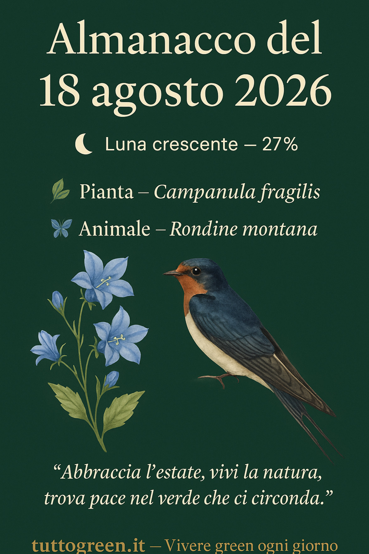 Infografica Almanacco del 18 agosto 2026 — Campanula fragilis e Rondine montana