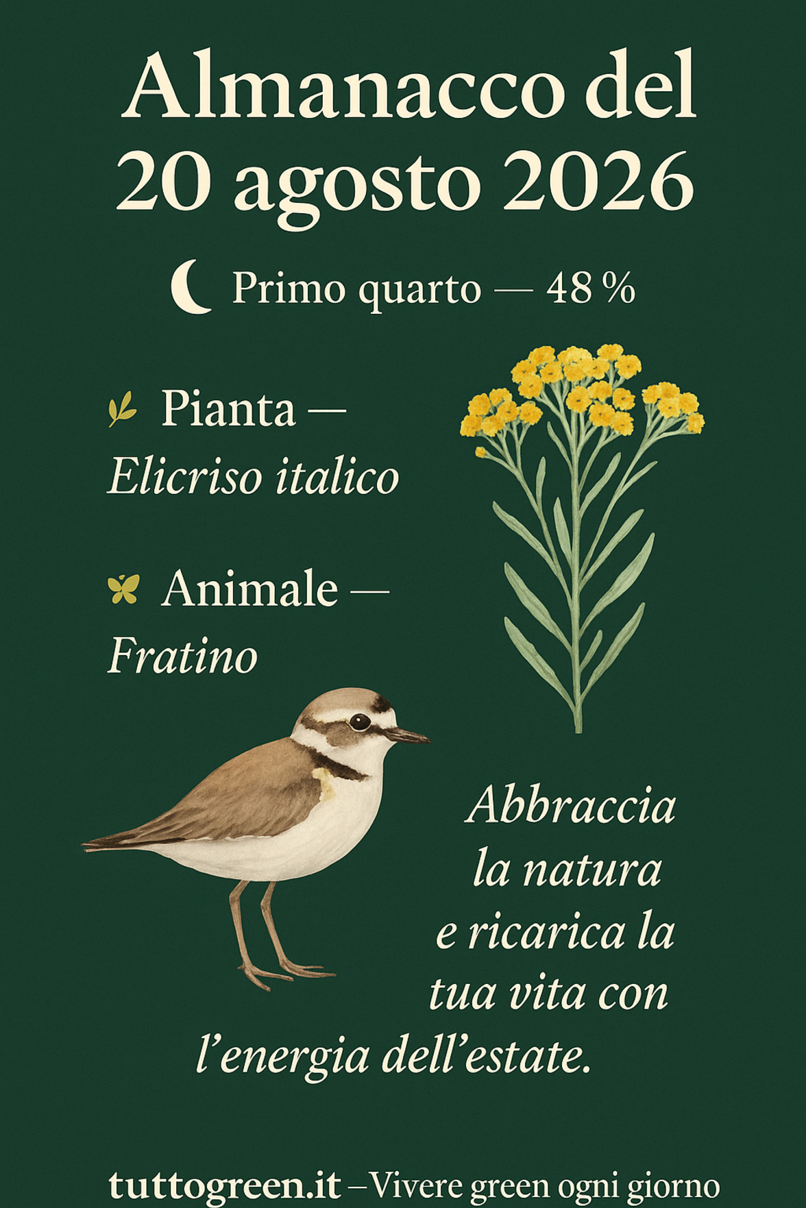 Infografica Almanacco del 20 agosto 2026 — Elicriso italico e Fratino