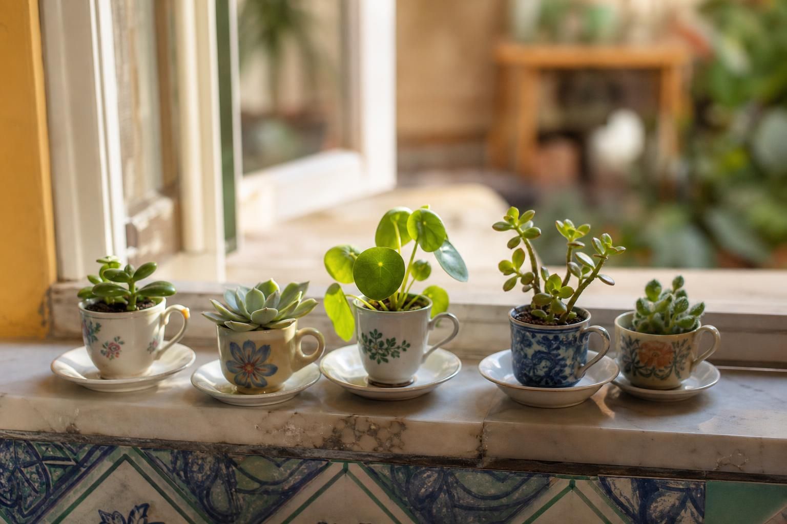 Le tazzine spaiate diventano vasetti perfetti per piante piccole