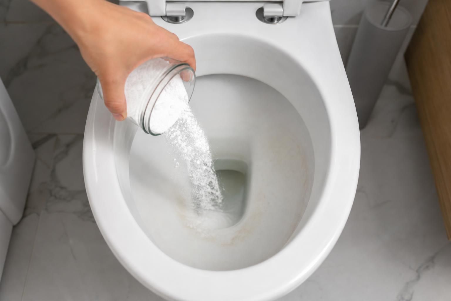 Il trucco del bicarbonato nel WC prima di dormire: meno odori al mattino - dettaglio